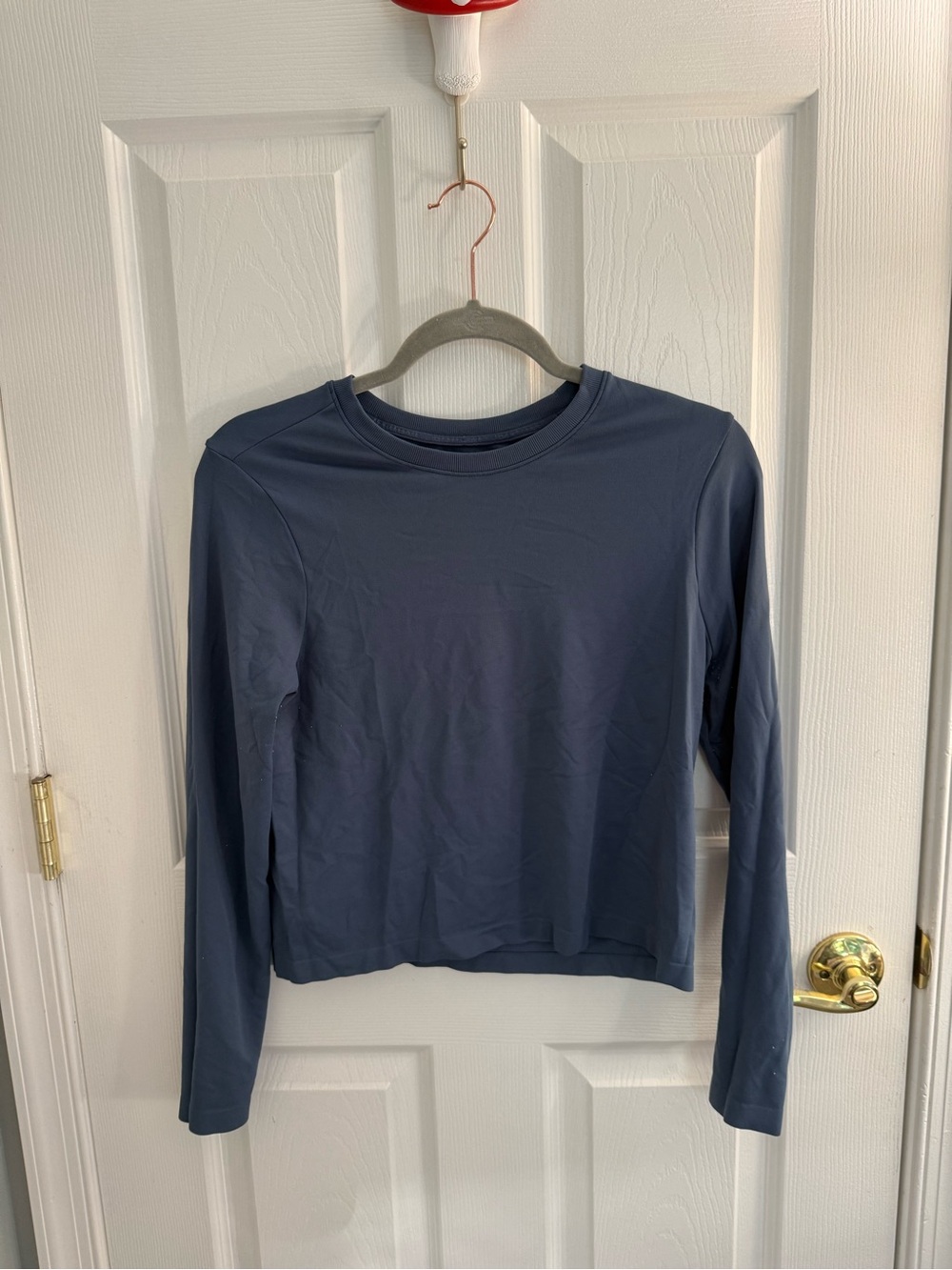 Women's Long Sleeve Crop Crewneck Top - Slate Blue